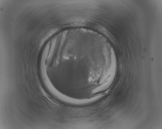 X0000067870677200605111800