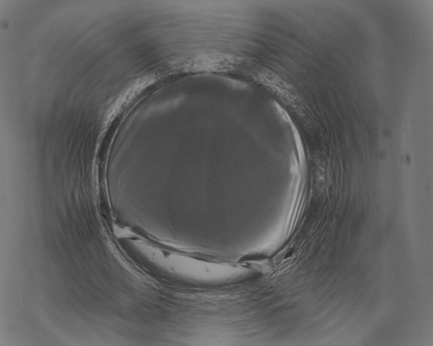 X0000067870678200605111800