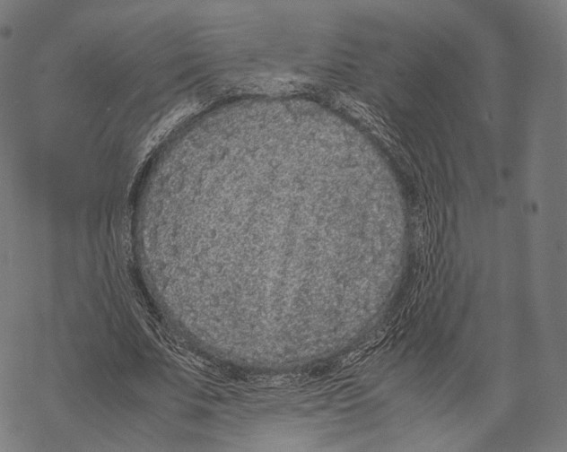 X0000067870679200605111800