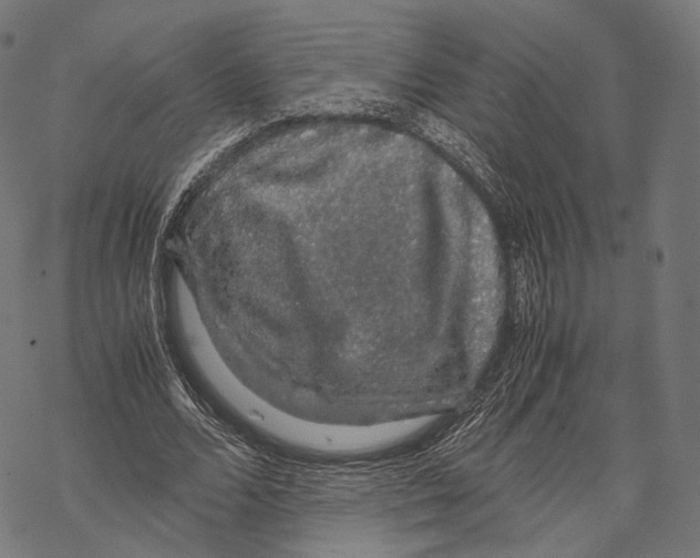 X0000067870680200605111800