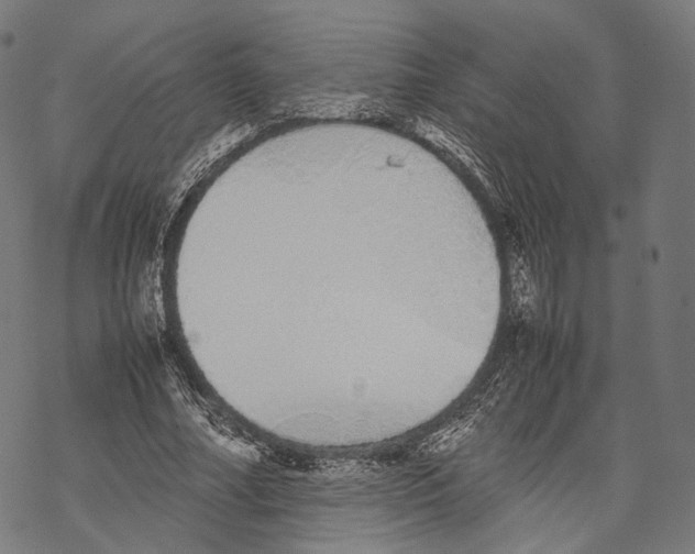 X0000067870682200605111800