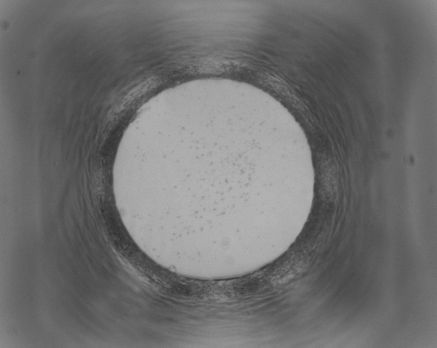 X0000067870683200605111800