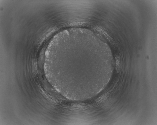 X0000067870684200605111800