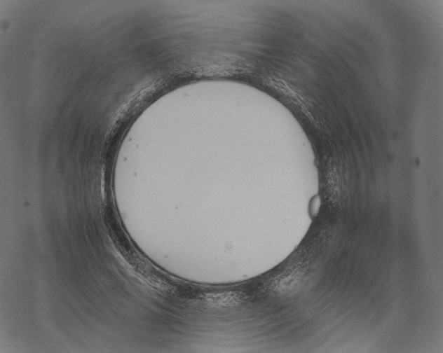 X0000067870686200605111800