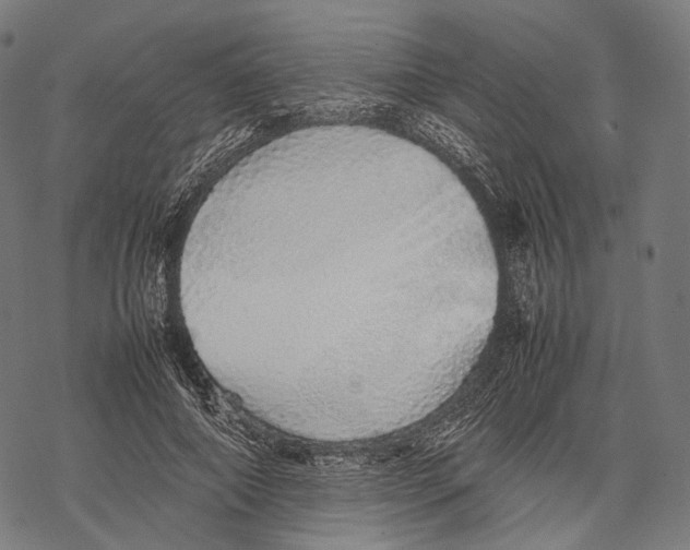 X0000067870690200605111800