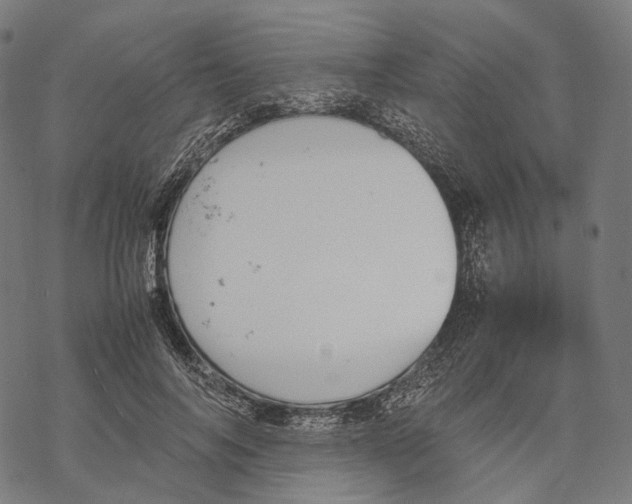 X0000067870694200605111800