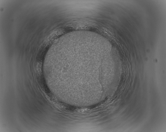 X0000067870695200605111800