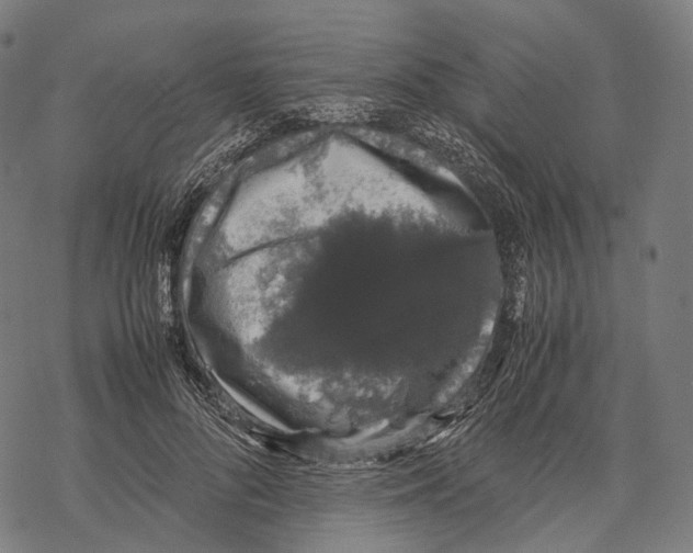 X0000067870696200605111800