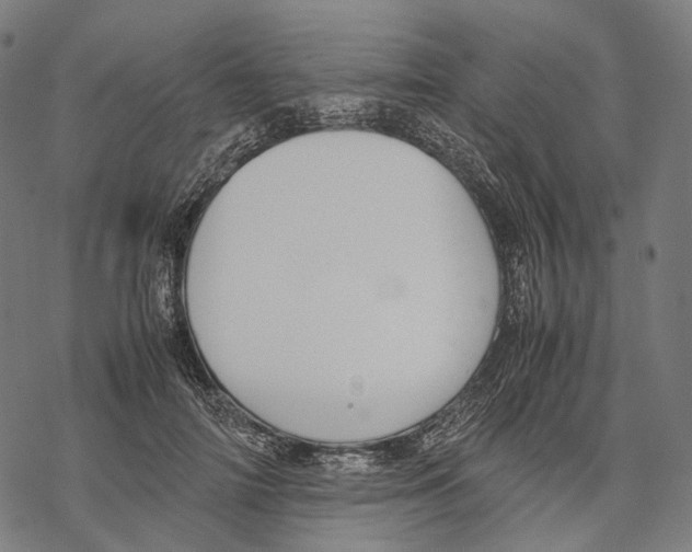 X0000067870698200605111800