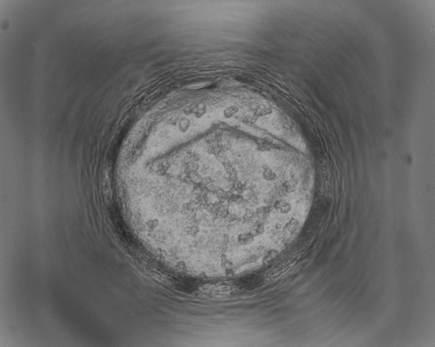 X0000067870699200605111800