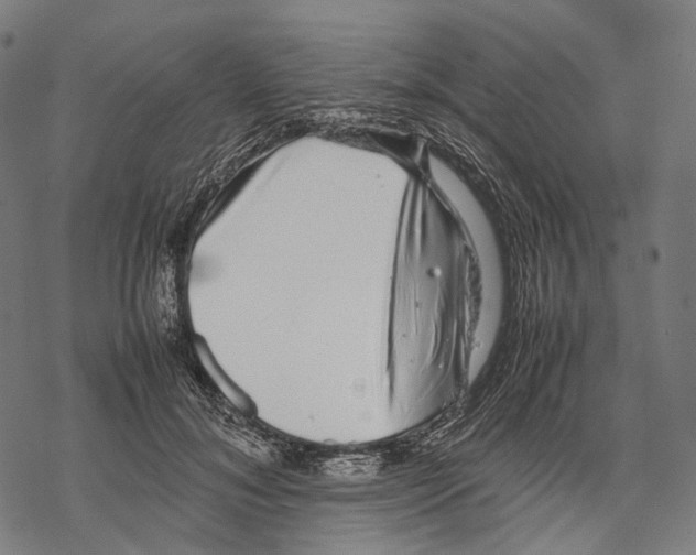 X0000067870700200605111800