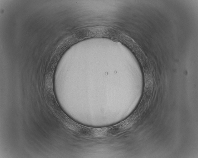 X0000067870701200605111800