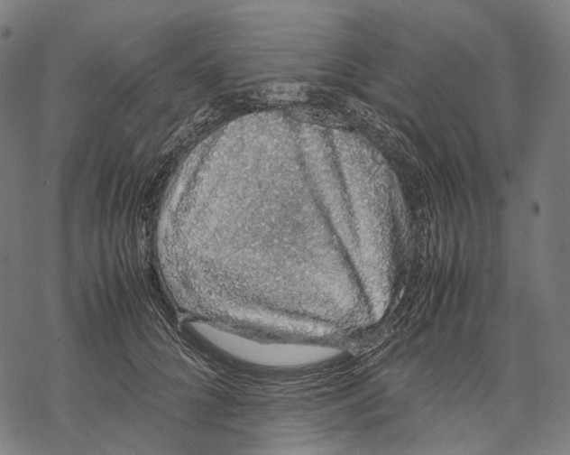 X0000067870704200605111800