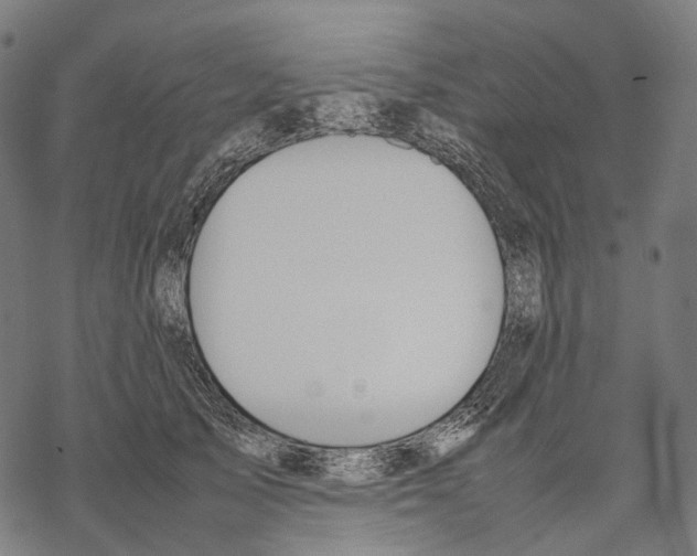 X0000067870705200605111759