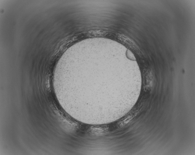 X0000067870706200605111759