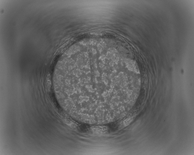 X0000067870707200605111759