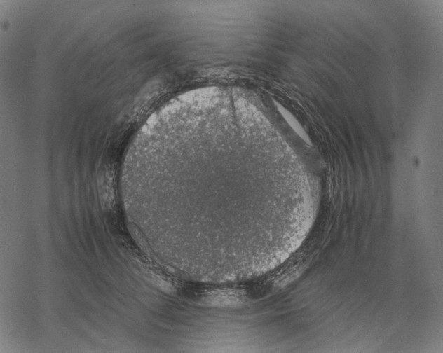 X0000067870708200605111759