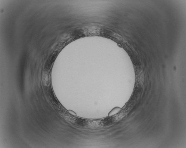 X0000067870709200605111759