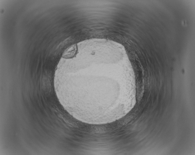 X0000067870710200605111759