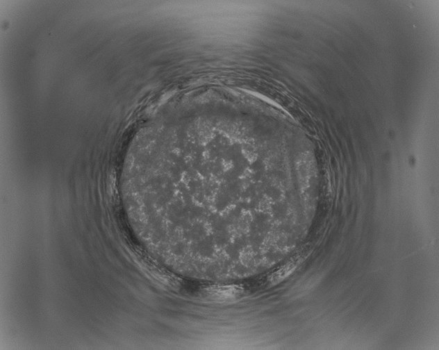 X0000067870711200605111759