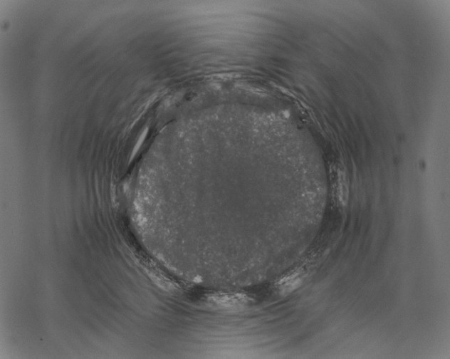 X0000067870712200605111759