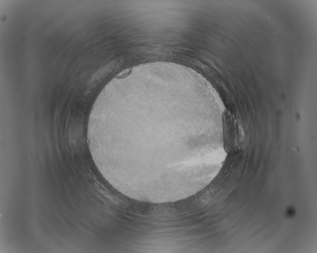 X0000067870714200605111759