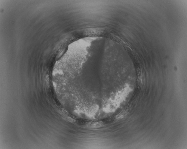 X0000067870716200605111759