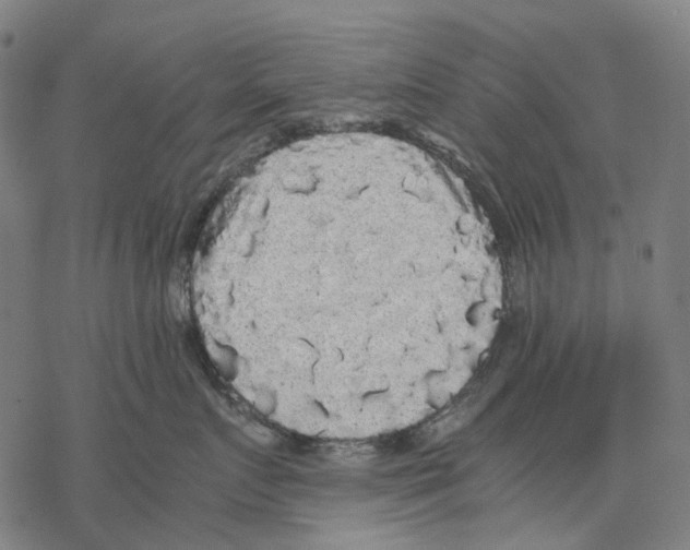 X0000067870719200605111759