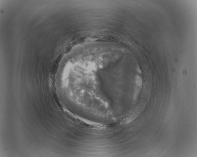 X0000067870720200605111759