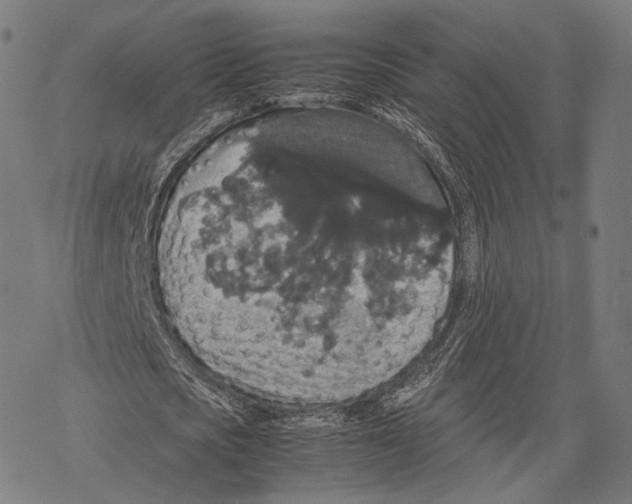 X0000067870721200605111758