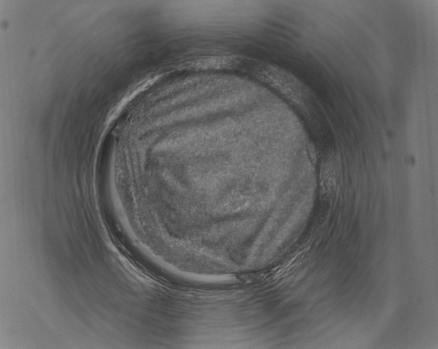 X0000067870722200605111758