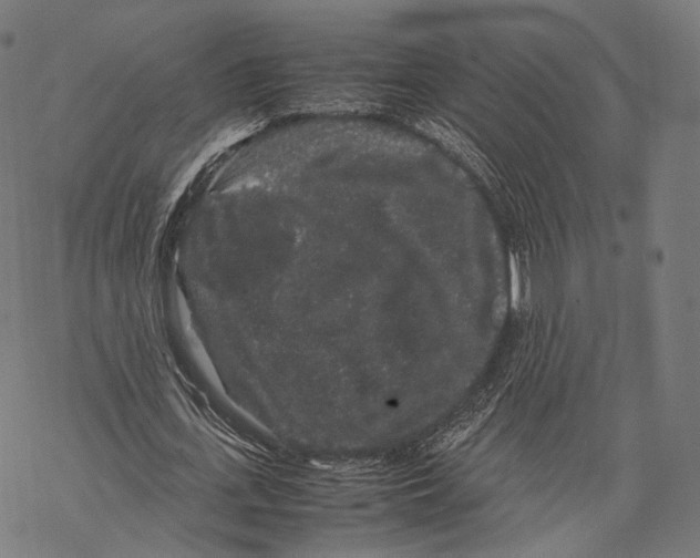 X0000067870723200605111758