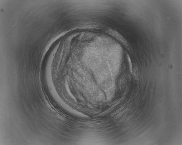 X0000067870724200605111759