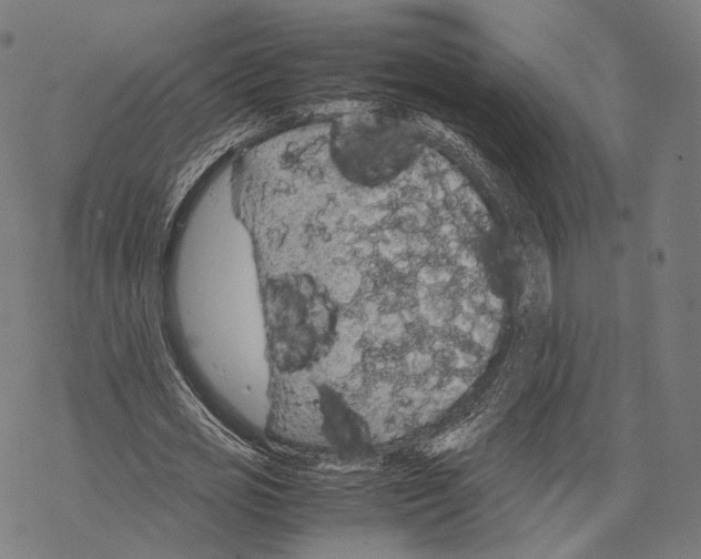 X0000067870725200605111759