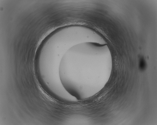 X0000067870726200605111759