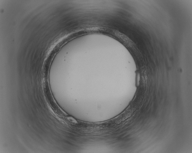 X0000067870728200605111759