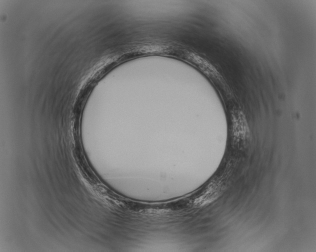 X0000067870730200605111759