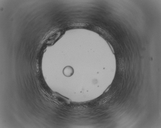 X0000067870731200605111759