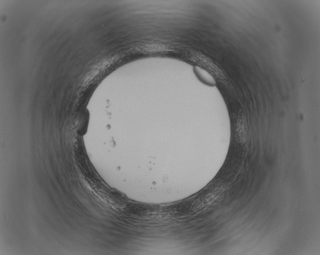 X0000067870732200605111759