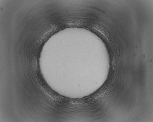 X0000067870733200605111759