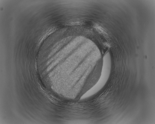 X0000067870735200605111759