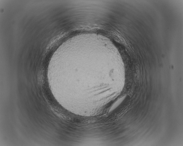 X0000067870736200605111759