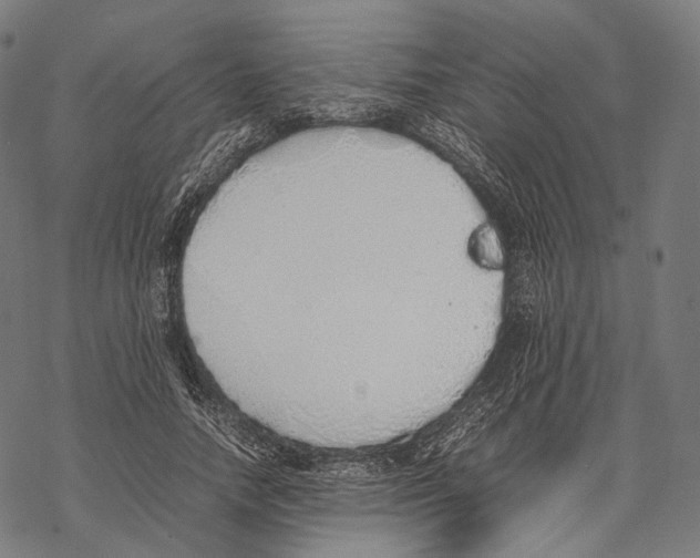 X0000067870738200605111759