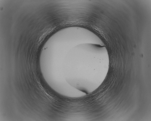 X0000067870740200605111759