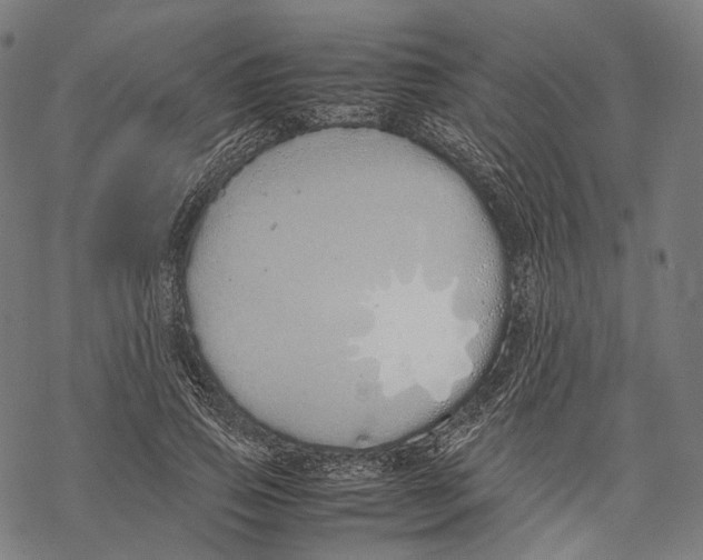 X0000067870741200605111759