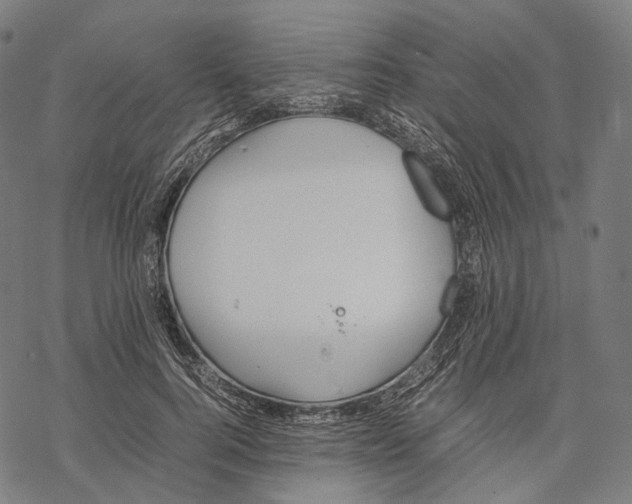 X0000067870744200605111759