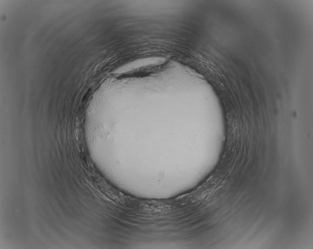 X0000067870745200605111759