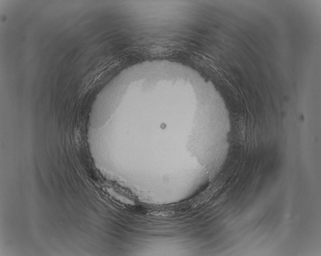 X0000067870746200605111759