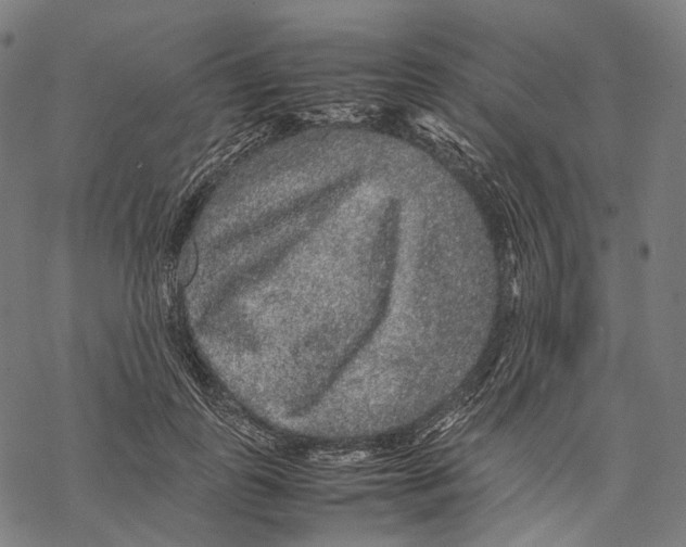 X0000067870747200605111759