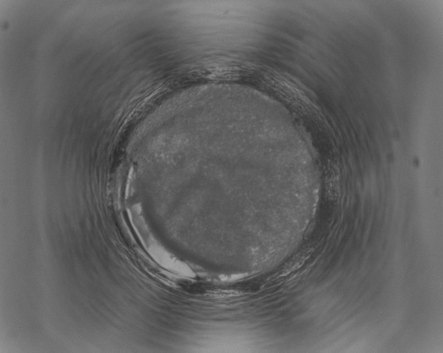 X0000067870748200605111759